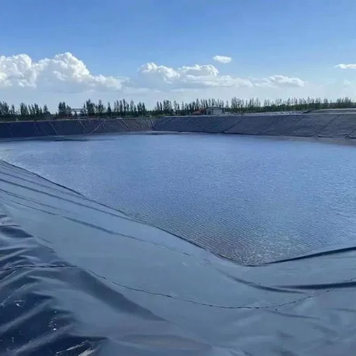 Geomembrane Kolam Ikan Akuakultur