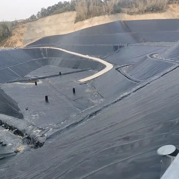 Pelapik Geomembrane