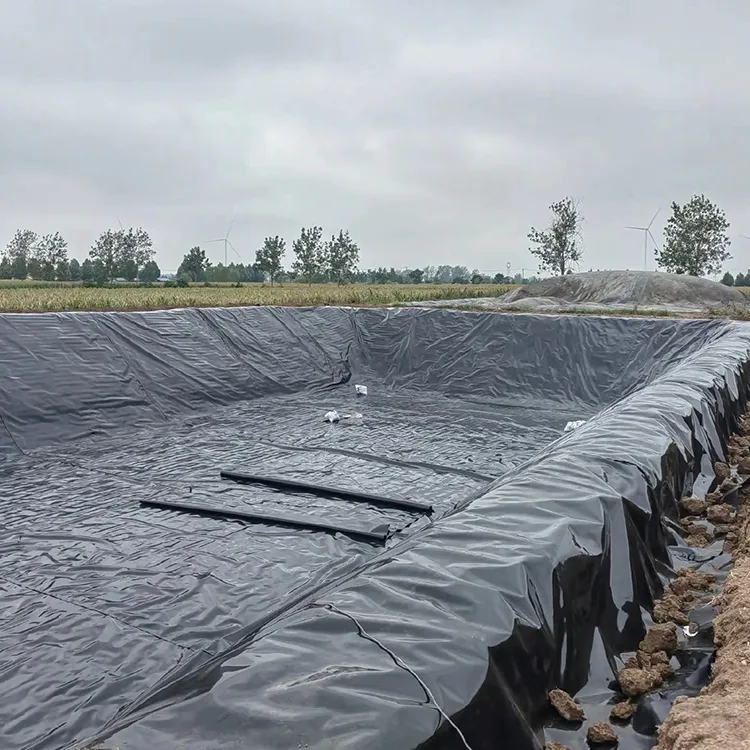 Geomembrane Digester Biogas