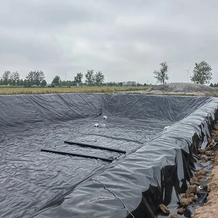 Pelapik Geomembrane Kolam Ikan