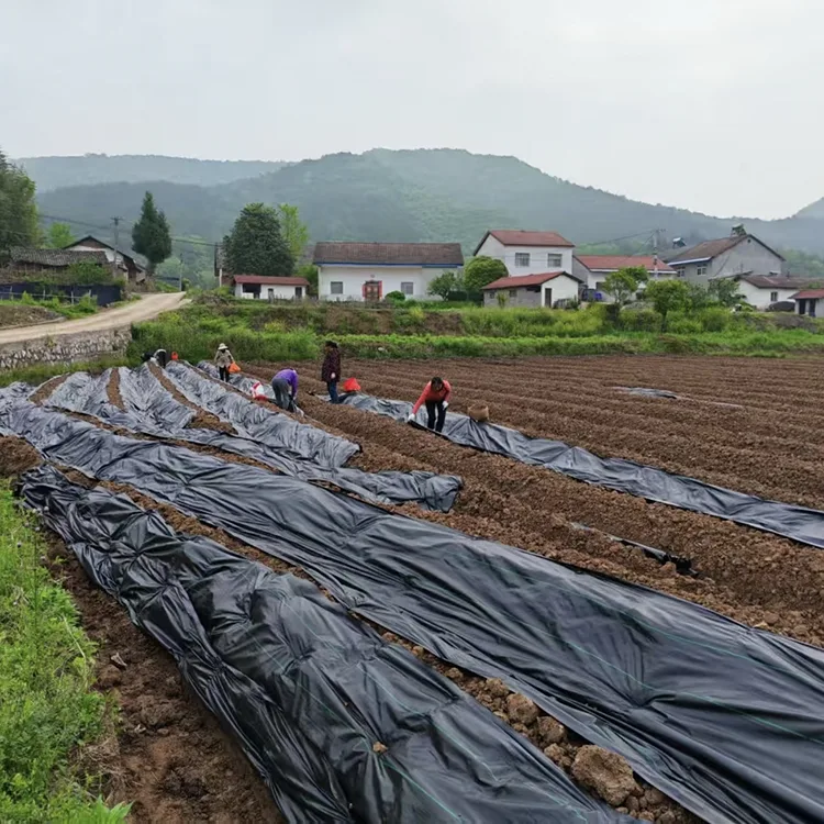 UV Stabilized Garden Weed Barrier Fabric