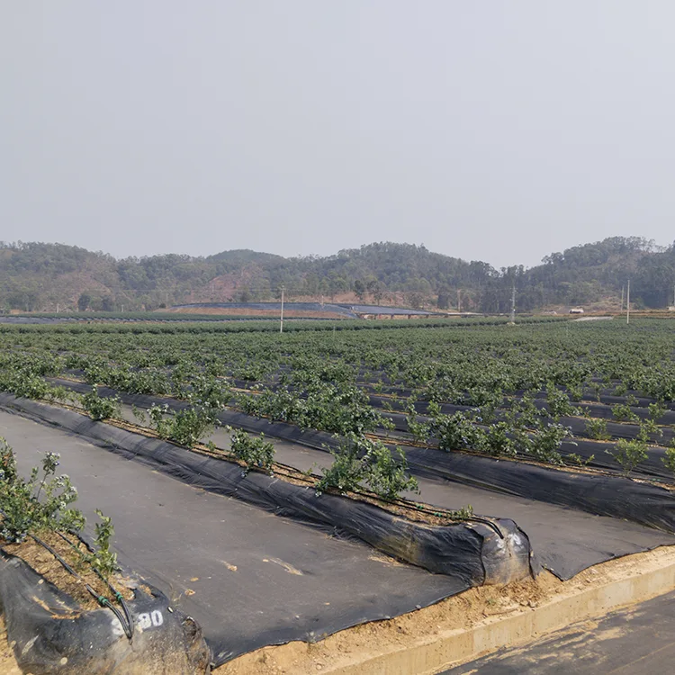 Herbal Plant Weed Barrier Fabric